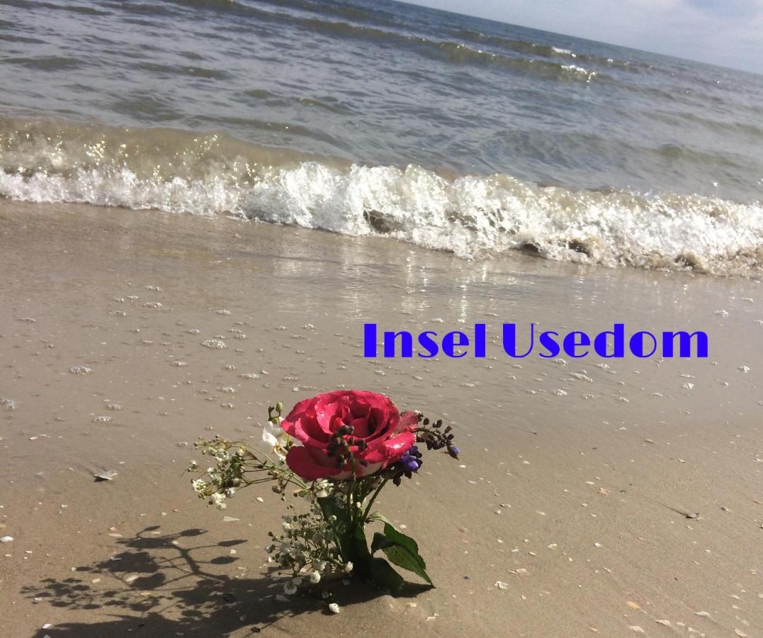 Ferienwohnung Mit Terrasse - Insel Usedom 트라센하이드 외부 사진