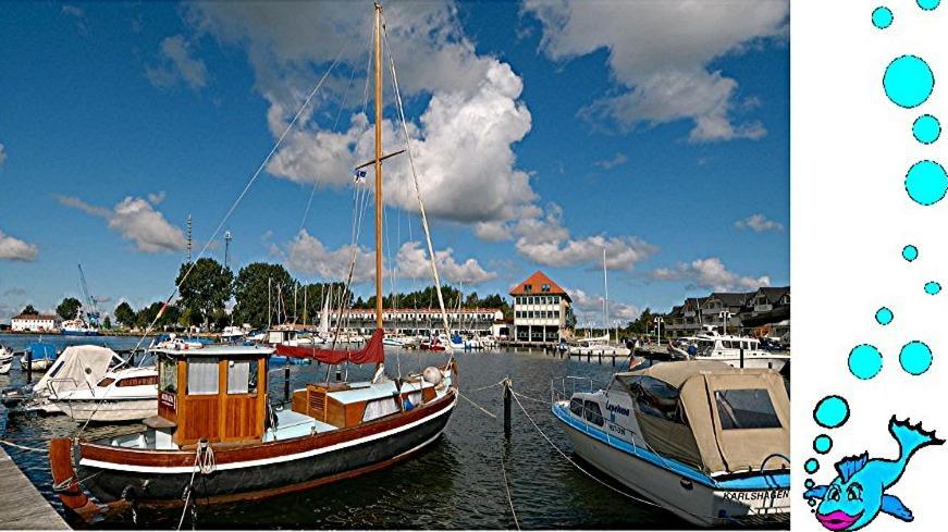 Ferienwohnung Mit Terrasse - Insel Usedom 트라센하이드 외부 사진