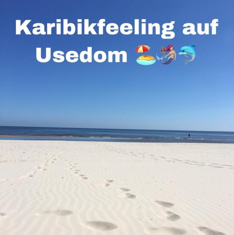 Ferienwohnung Mit Terrasse - Insel Usedom 트라센하이드 외부 사진