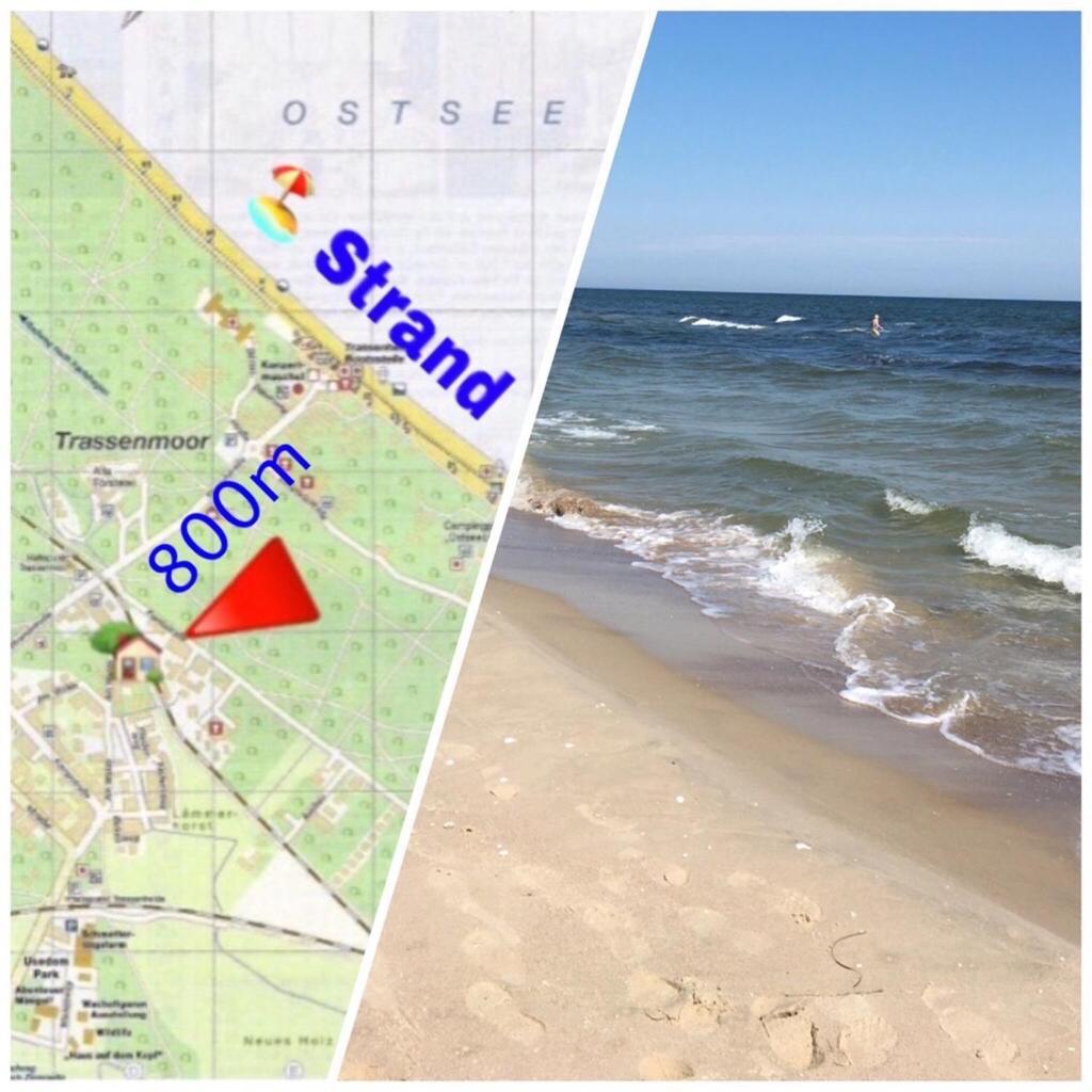 Ferienwohnung Mit Terrasse - Insel Usedom 트라센하이드 외부 사진