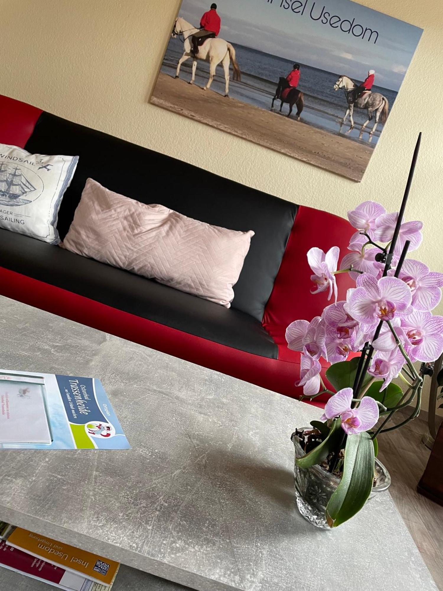 Ferienwohnung Mit Terrasse - Insel Usedom 트라센하이드 외부 사진