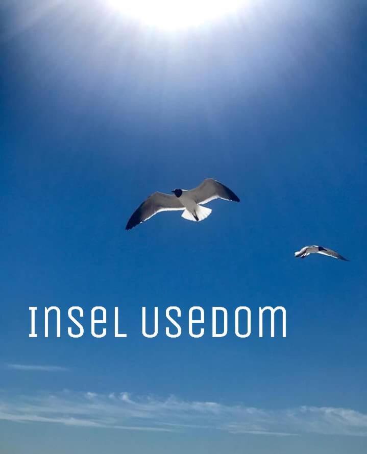 Ferienwohnung Mit Terrasse - Insel Usedom 트라센하이드 외부 사진